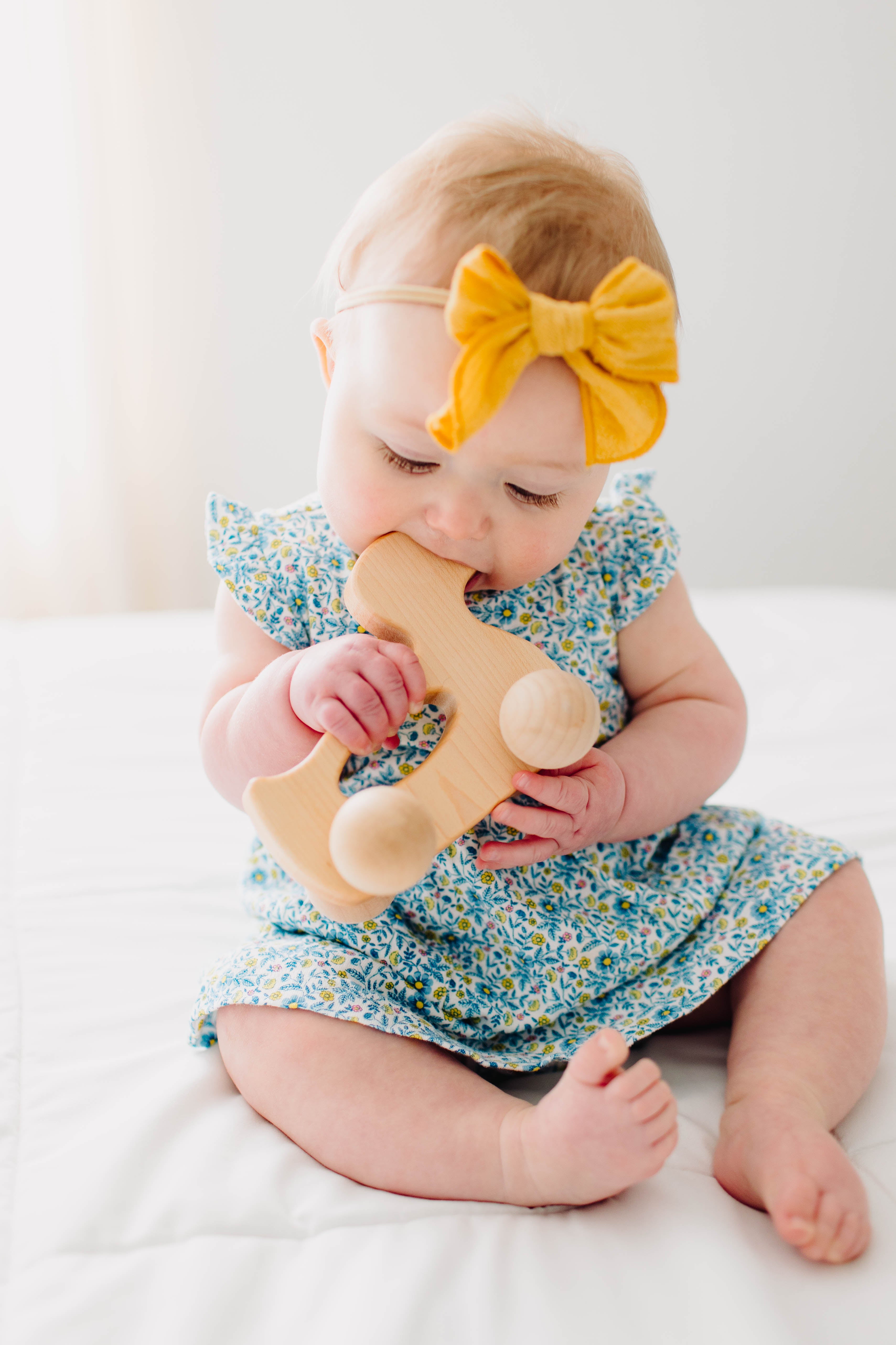 Duck Push Toy