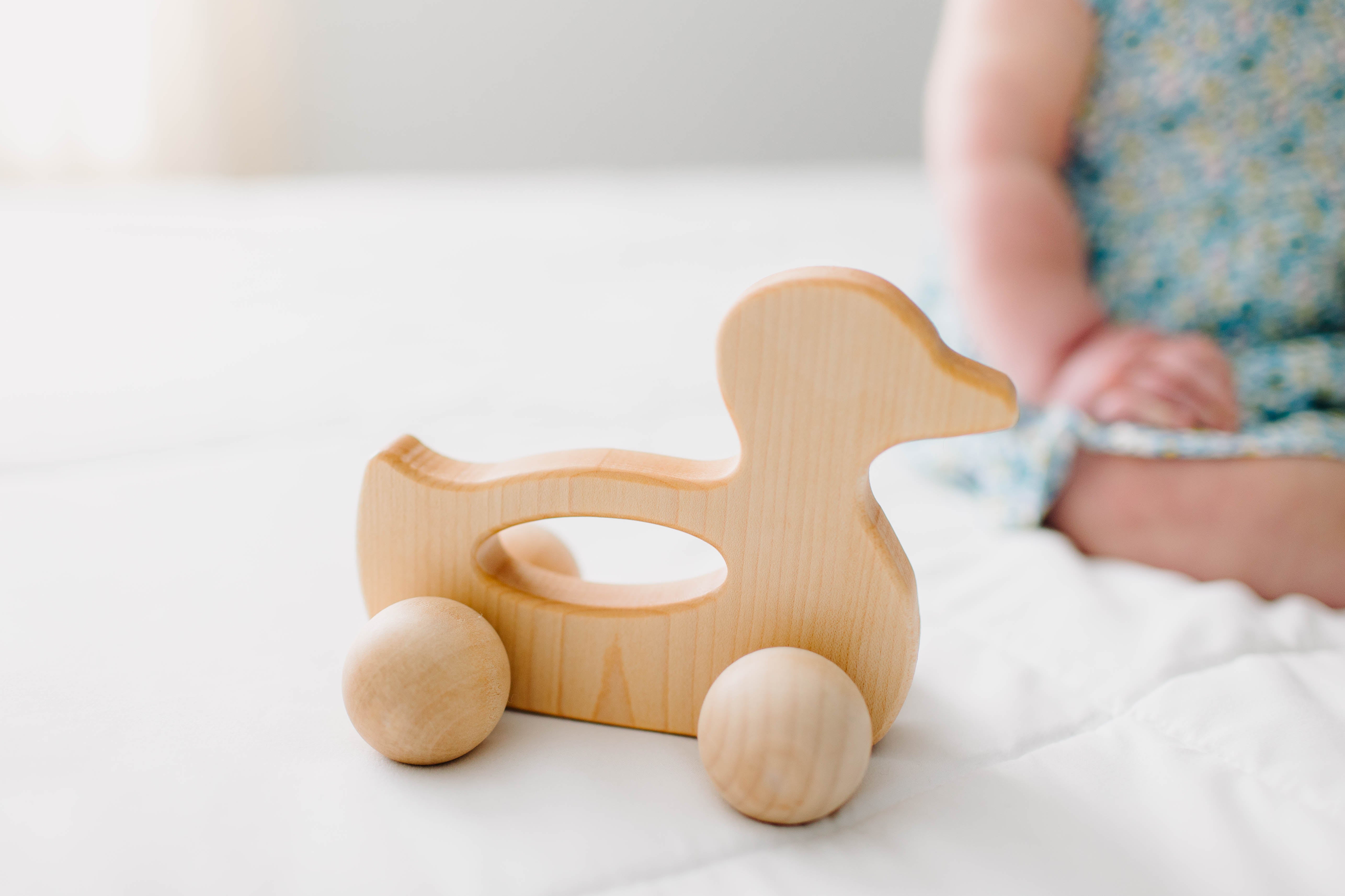 Duck Push Toy