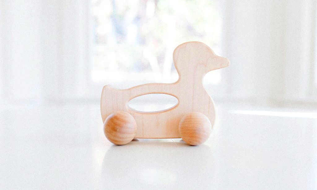 Duck Push Toy