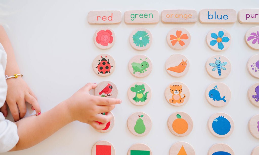 Sorting Game - Bannor-toys