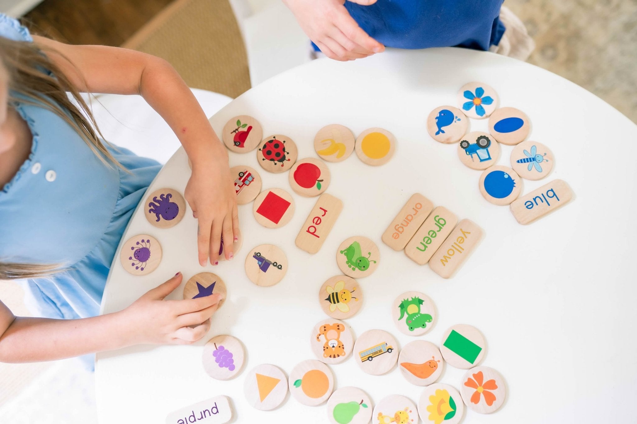 Sorting Game - Bannor-toys