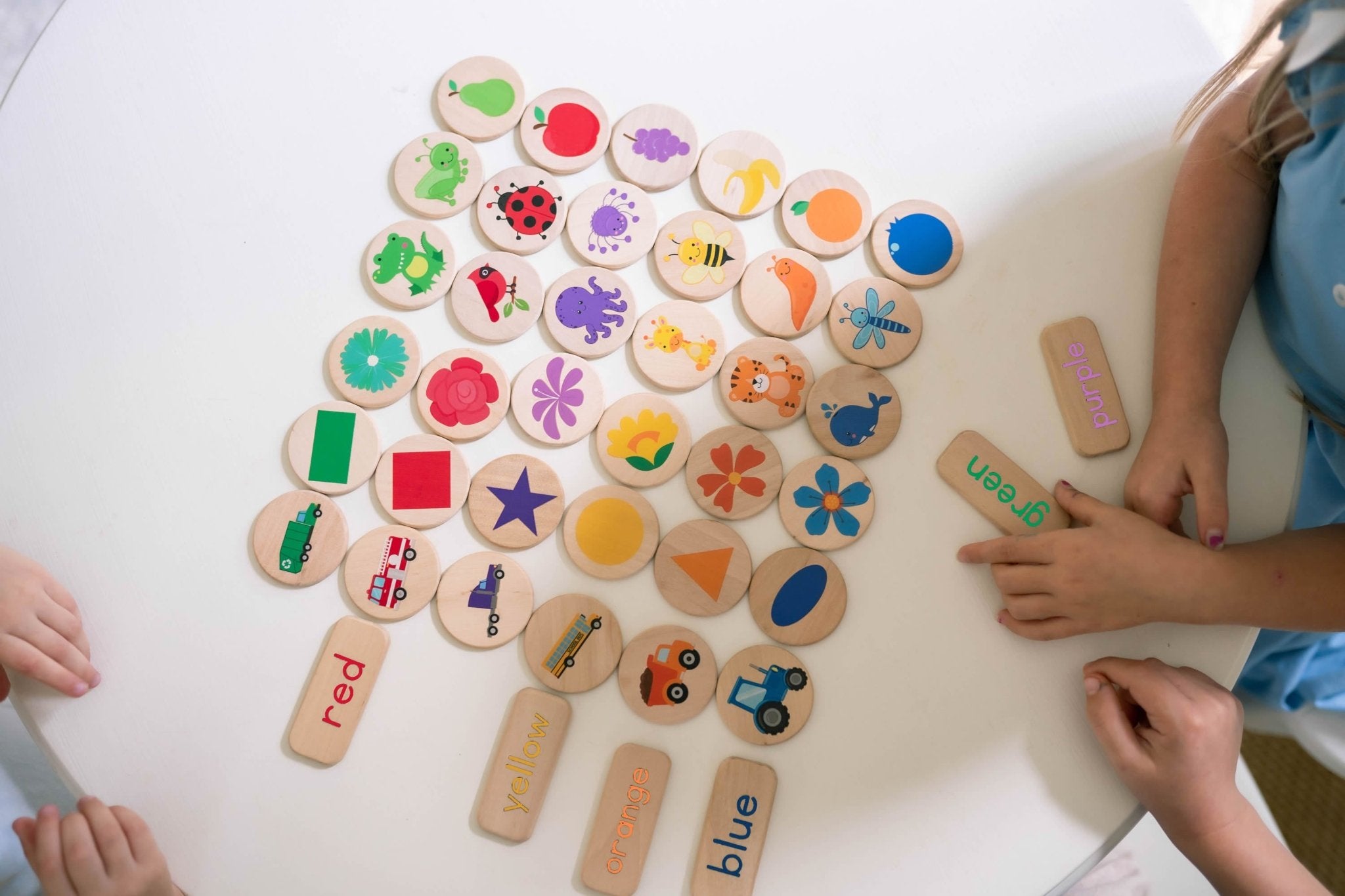 Sorting Game - Bannor-toys