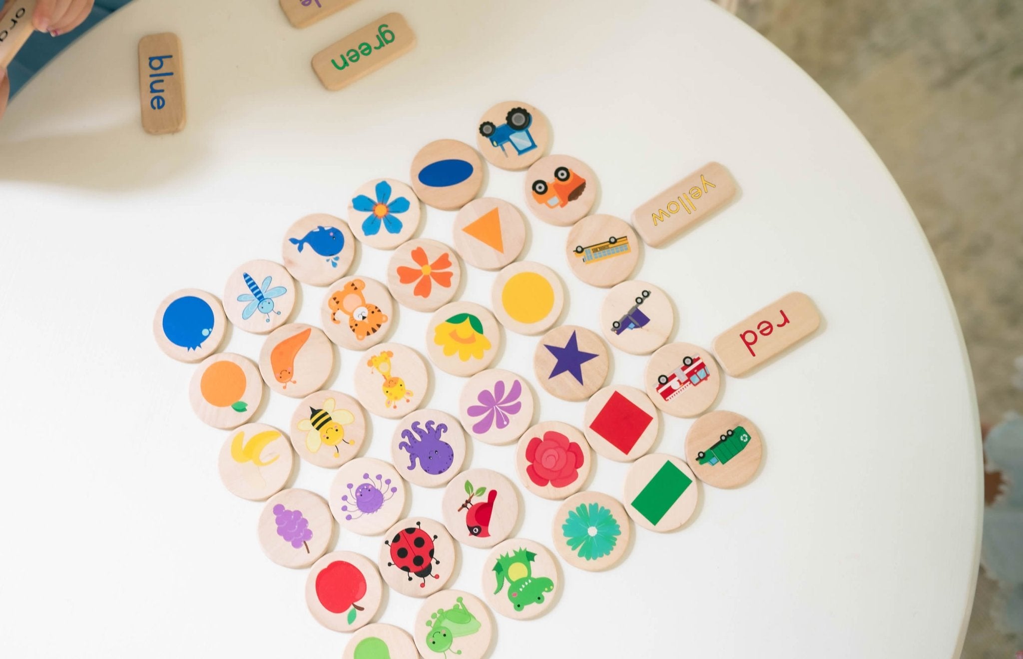 Sorting Game - Bannor-toys
