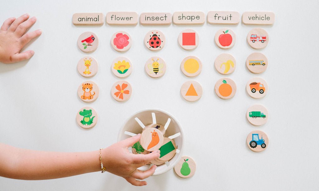 Sorting Game - Bannor-toys