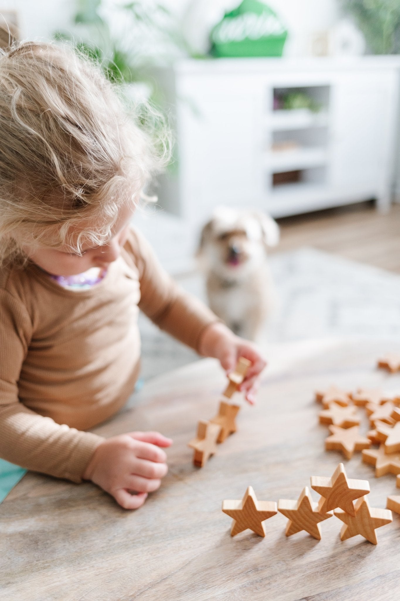 Wooden Counting Stars - Bannor-toys