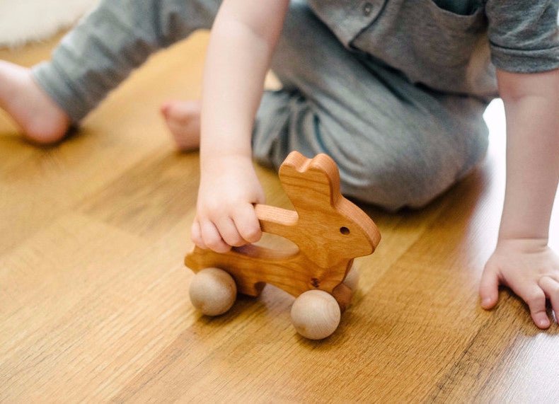 Bunny Push Toy - Bannor-toys