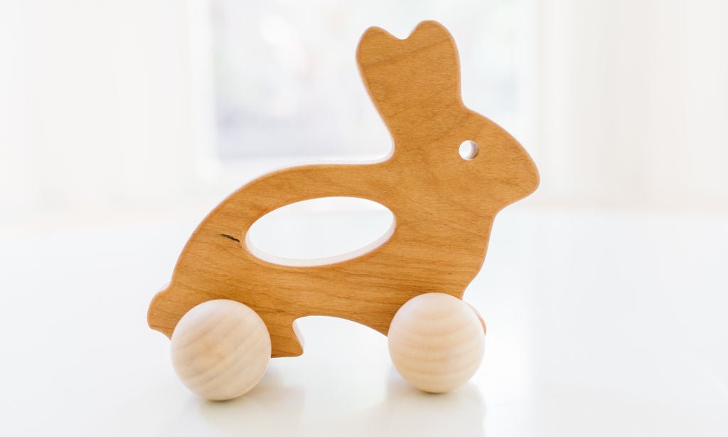 Bunny Push Toy - Bannor-toys