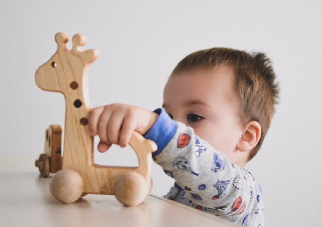 boy playing with Giraffe Push Toy - Bannor-toys