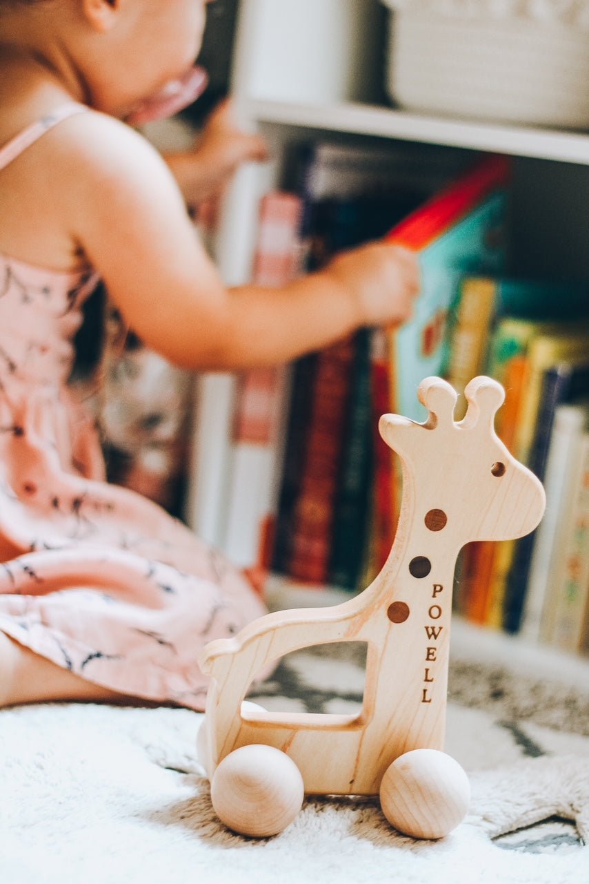Giraffe Push Toy - Bannor-toys