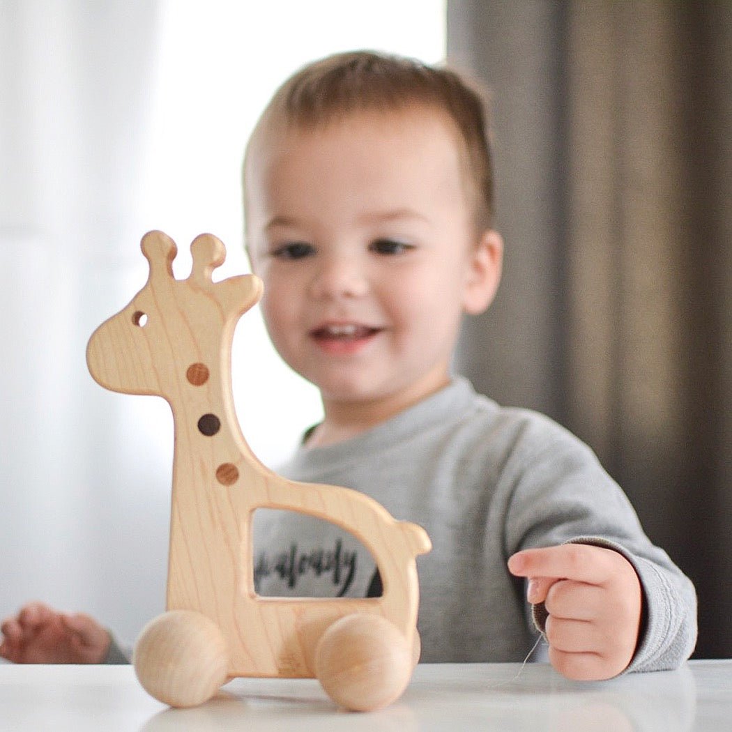Giraffe Push Toy - Bannor-toys
