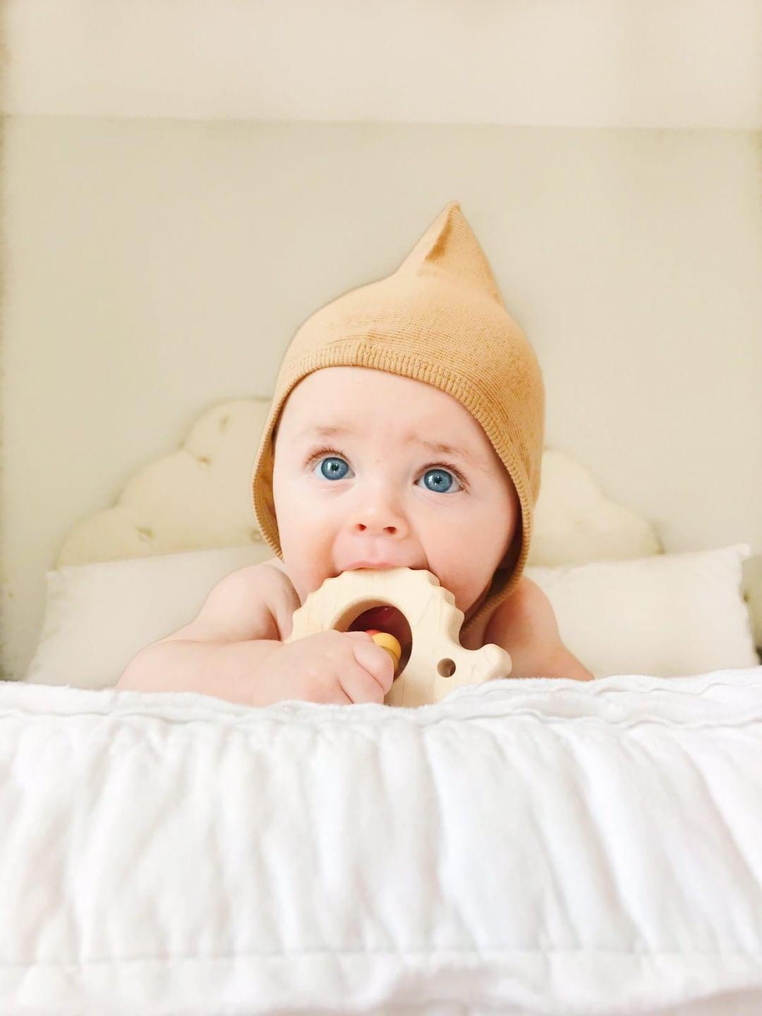 Hedgehog Wooden Baby Grasping Toy - Bannor-toys