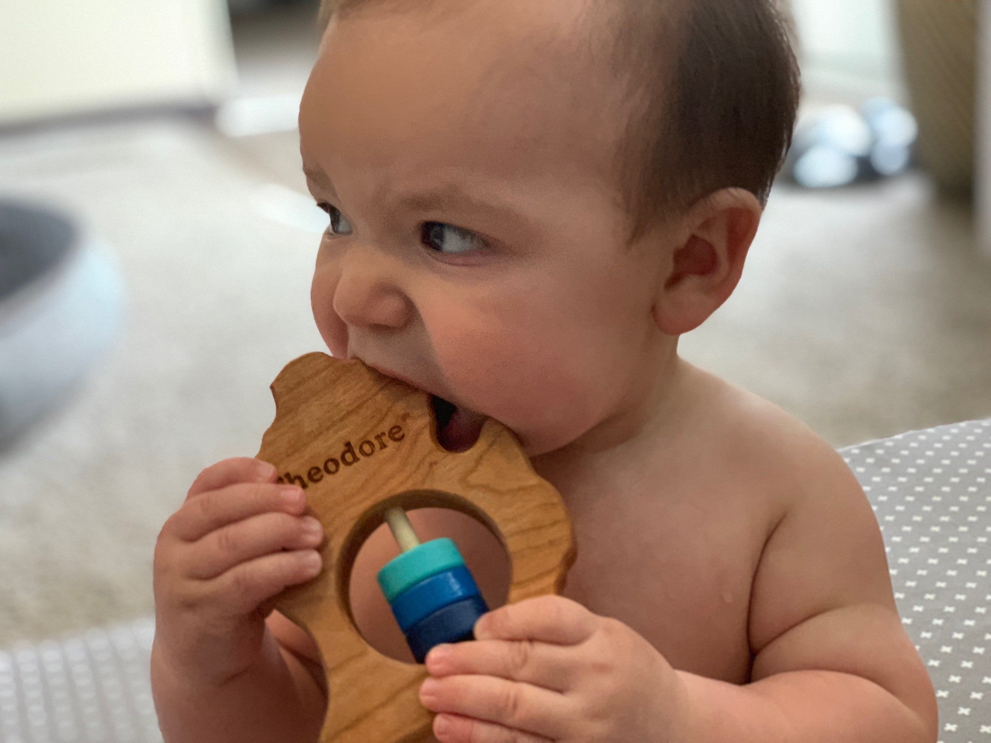 Michigan (Lower Peninsula) Wooden Baby Rattle™ - Bannor-toys